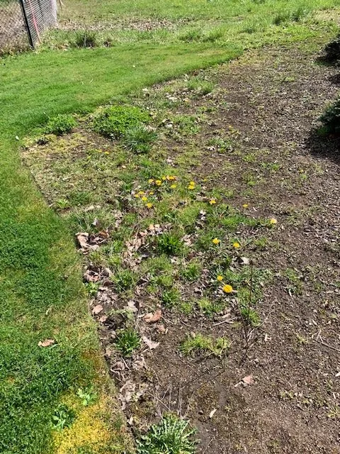 Trusted landscaping services in Rochester, WA by Buds & Blades Landscape