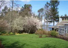Reliable yard maintenance in Rochester, WA - Buds & Blades Landscape