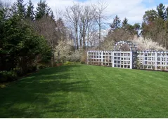 Top-rated landscaping services in Rochester, WA - Buds & Blades Landscape