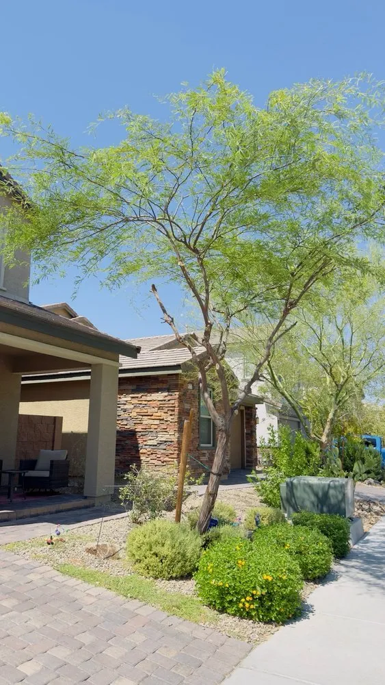 Local yard maintenance for beautiful yards in Las Vegas, NV by Bud's Affordable Landscaping