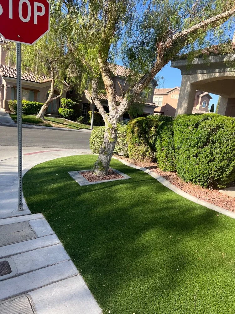 Local lawn mowing service for year-round maintenance across Las Vegas, NV - Bud's Affordable Landscaping