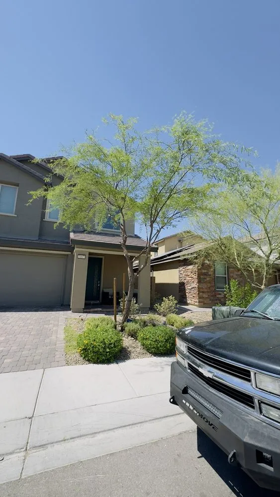 Affordable yard cleanup service experts serving Las Vegas, NV - Bud's Affordable Landscaping