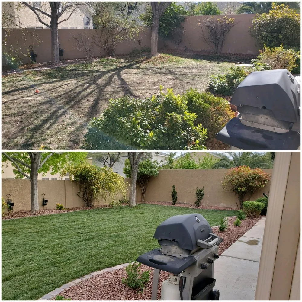 Reliable landscaping services in Las Vegas, NV by Bud's Affordable Landscaping