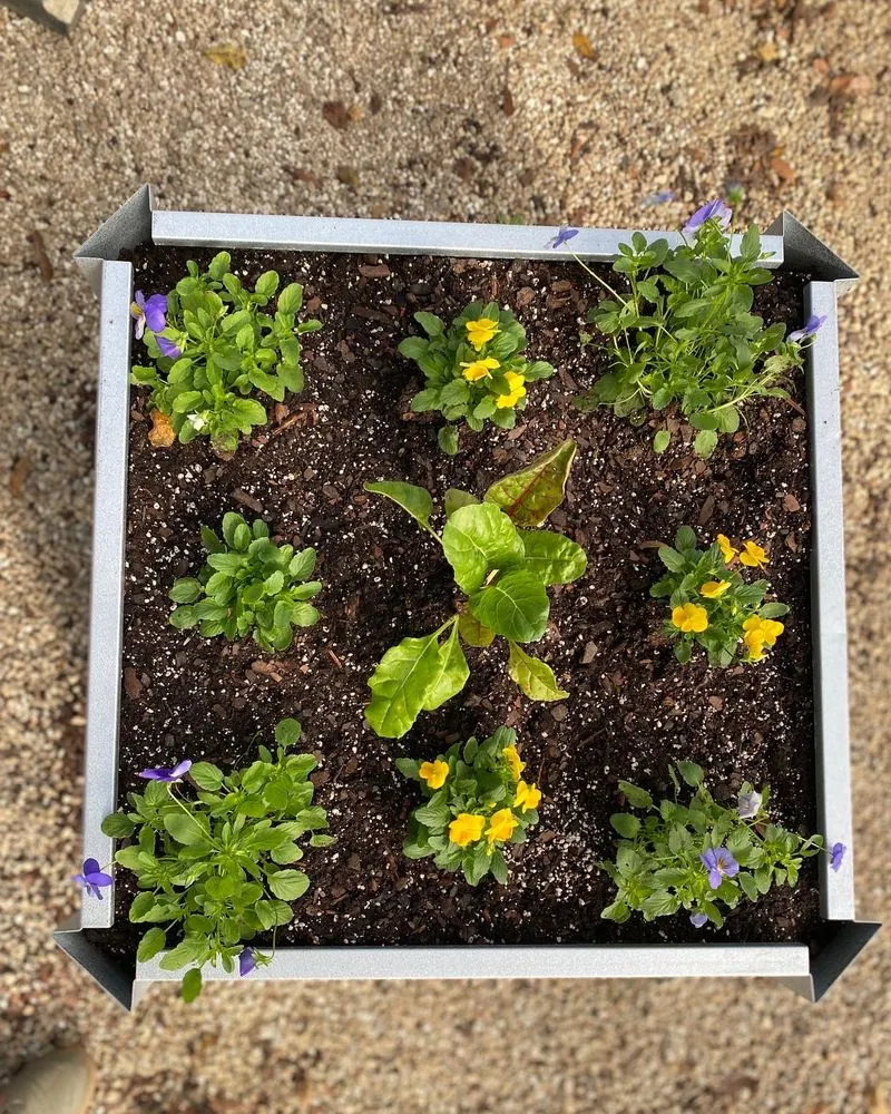 Trusted yard cleanup service in Dothan, AL - Buds N Blossoms Nursery