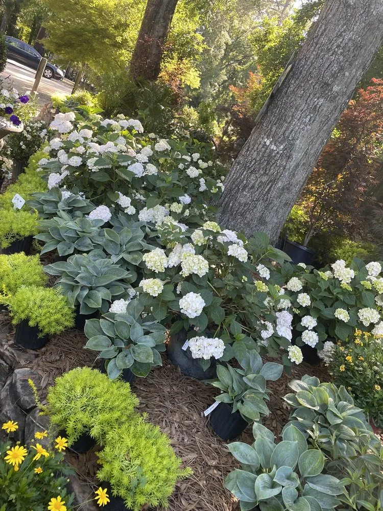 Affordable yard maintenance for homes across Dothan, AL - Buds N Blossoms Nursery