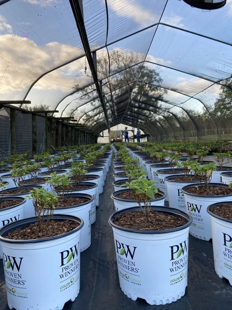 Affordable yard maintenance for year-round maintenance across Dothan, AL - Buds N Blossoms Nursery