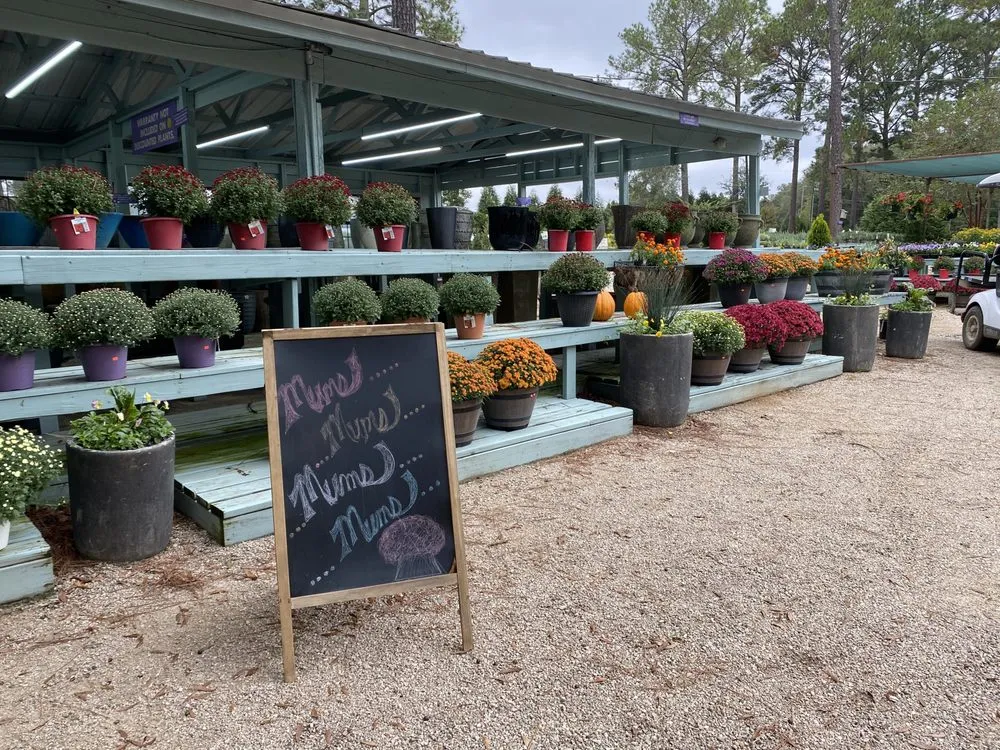 Custom lawn care service for beautiful yards in Dothan, AL by Buds N Blossoms Nursery