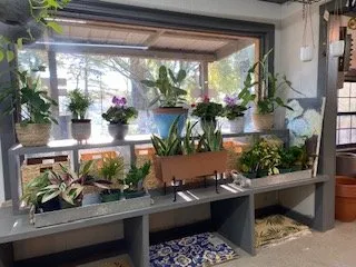 Trusted lawn care service for residential properties across Dothan, AL - Buds N Blossoms Nursery