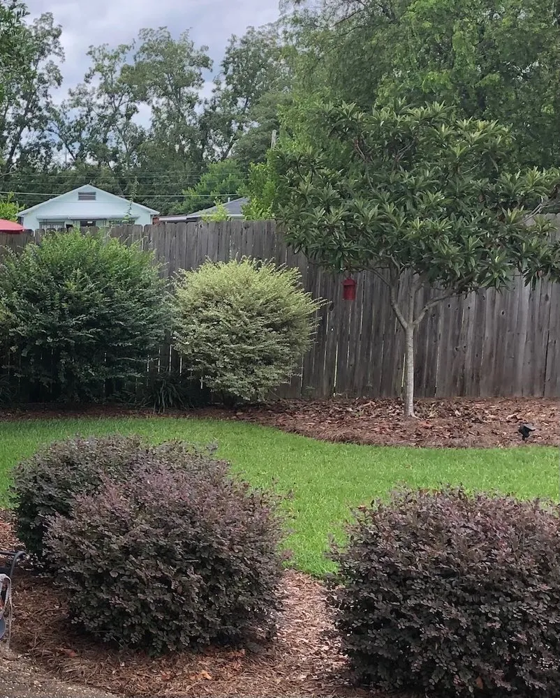 Professional residential landscaping experts serving Dothan, AL - Buds N Blossoms Nursery