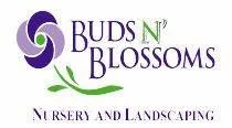 Expert yard maintenance experts serving Dothan, AL - Buds N Blossoms Nursery