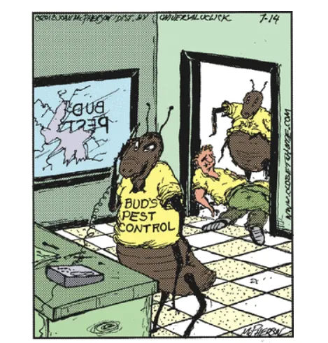 Professional landscaping services near you across Palm Coast, FL - Bud's Pest Control