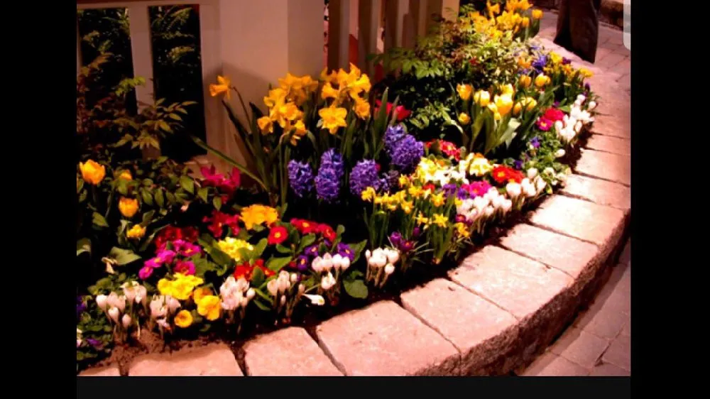 Professional landscaping services in Denham Springs, LA - Bueche Wackers