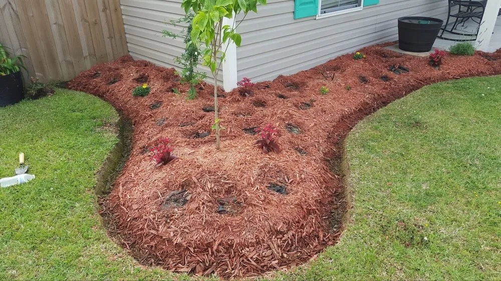 Trusted residential landscaping in Denham Springs, LA - Bueche Wackers