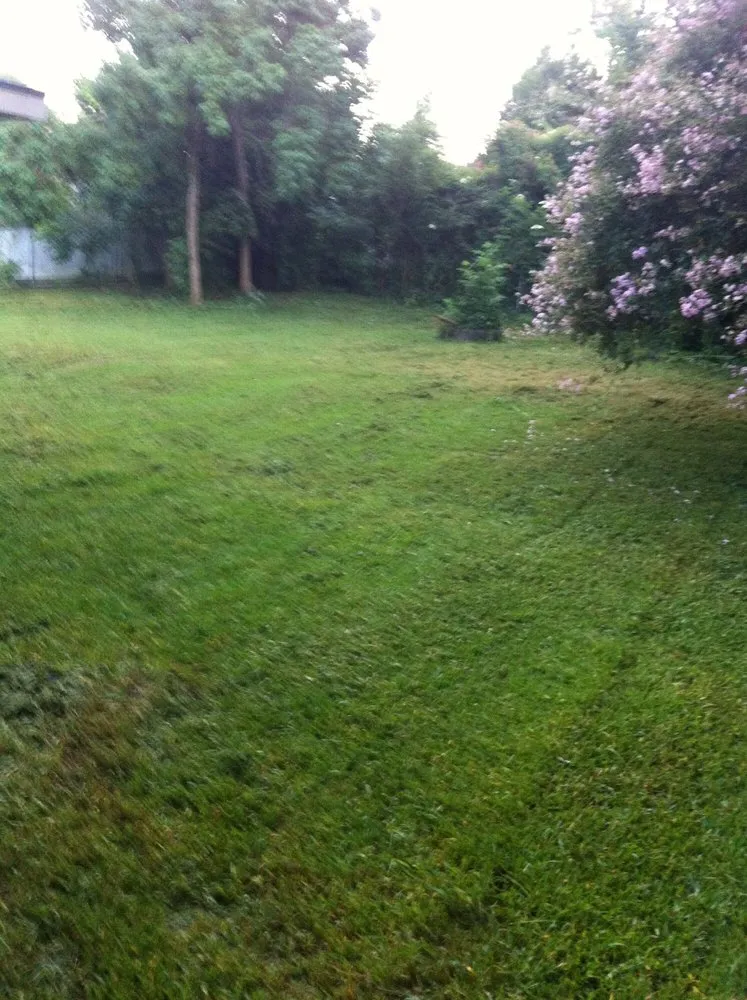 Expert lawn mowing service experts serving Denham Springs, LA - Bueche Wackers