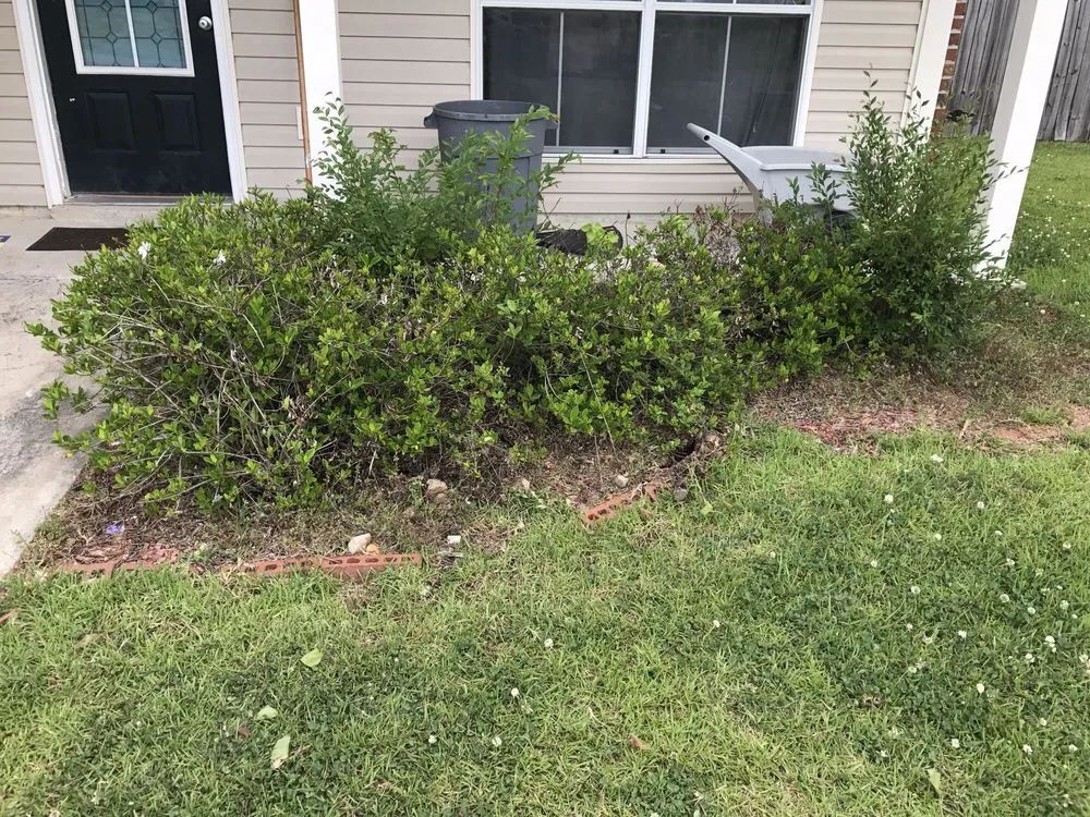 Top-rated landscaping services for beautiful yards in Denham Springs, LA by Bueche Wackers