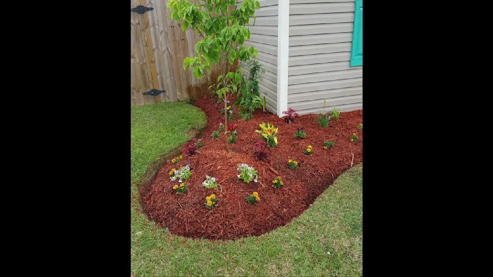 Custom yard cleanup service for beautiful yards in Denham Springs, LA by Bueche Wackers