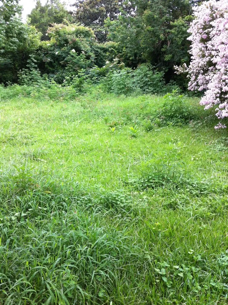 Top-rated garden landscaping in Denham Springs, LA by Bueche Wackers