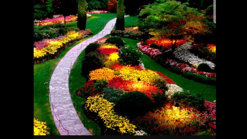 Local yard maintenance in Denham Springs, LA - Bueche Wackers