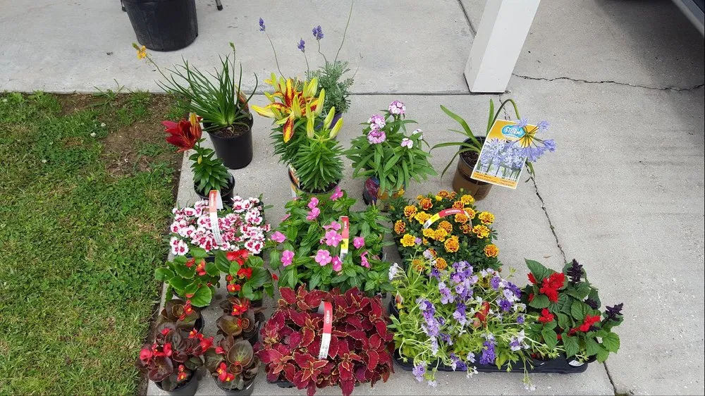 Local lawn mowing service for outdoor upgrades in Denham Springs, LA by Bueche Wackers