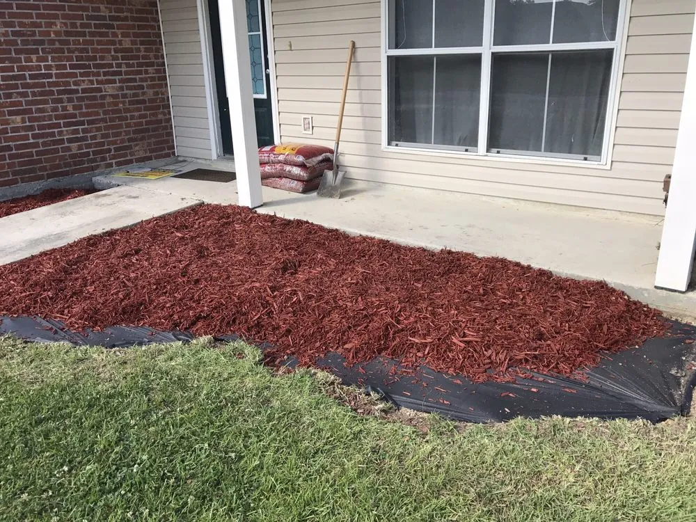 Affordable lawn mowing service for residential properties across Denham Springs, LA - Bueche Wackers