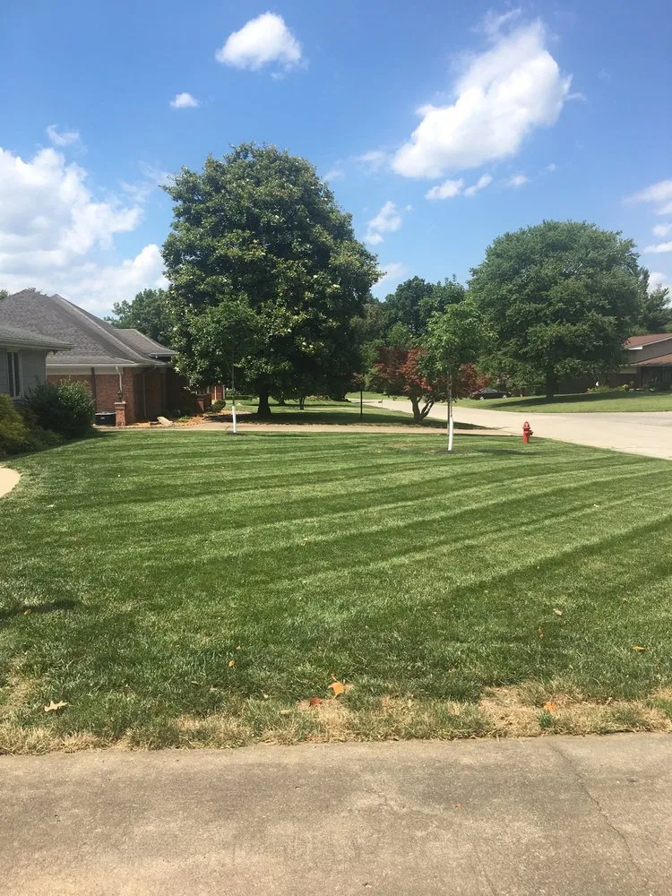 Affordable yard maintenance in Carterville, IL - Buehler Brothers Lawn Service