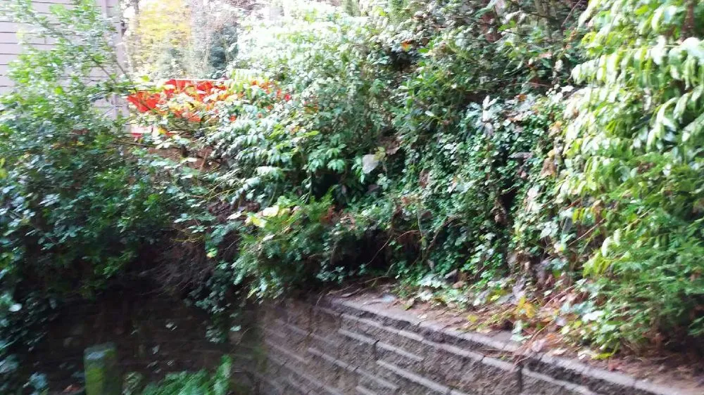 Reliable garden landscaping near you across Oregon City, OR - Buel's Greenscapes