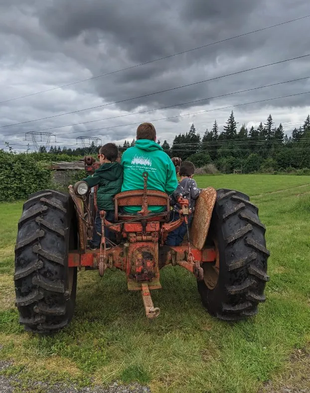 Professional yard maintenance in Oregon City, OR - Buel's Greenscapes