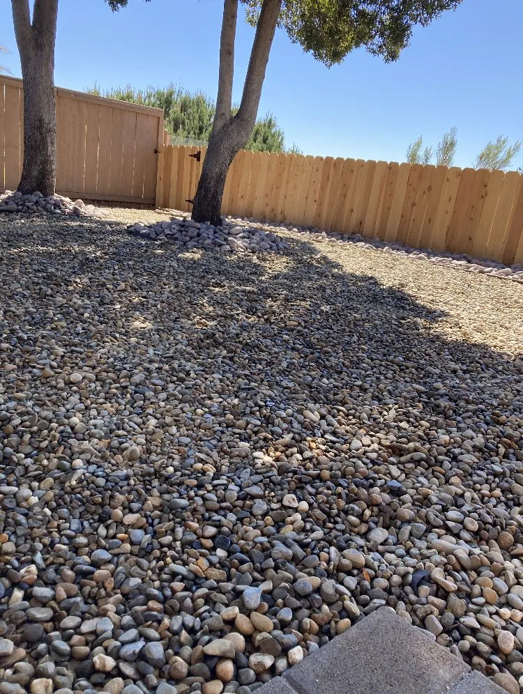 Professional landscape installation in Escondido, CA - Buena Vida Scape