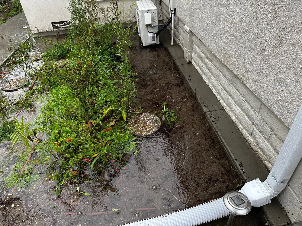 Top-rated landscape installation in El Monte, CA by Buena Vista construction & landscape