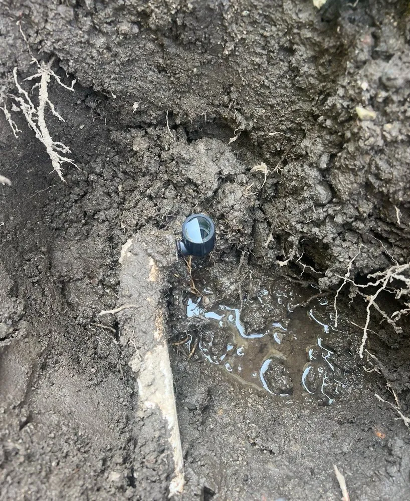 Trusted landscape installation experts serving El Monte, CA - Buena Vista construction & landscape