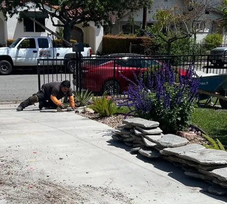 Buena Vista construction & landscape