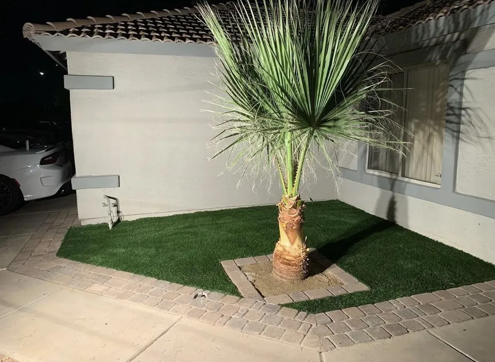 Custom landscaping services for year-round maintenance across Phoenix, AZ - Buena Vista Creative Landscape