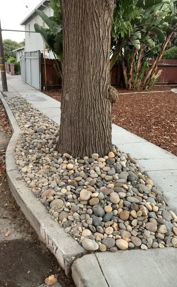 Custom landscaping services for beautiful yards across San Jose, CA - Buena Vista Landscape