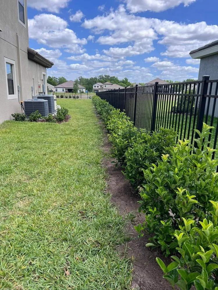 Expert landscaping services for homes in Miami, FL by Buena vista landscapes