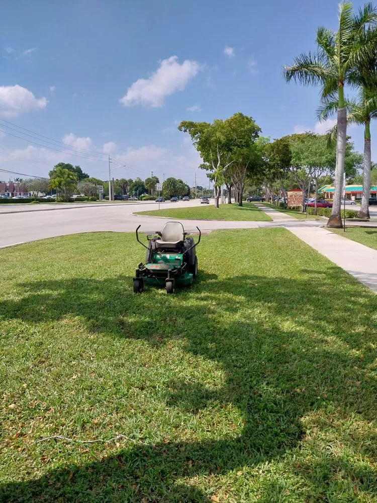 Local landscaping services experts serving Miami, FL - Buena vista landscapes