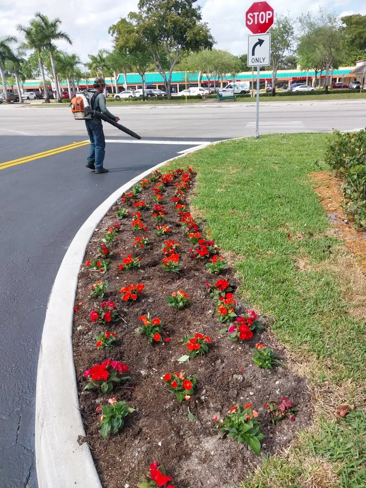Trusted yard maintenance in Miami, FL by Buena vista landscapes