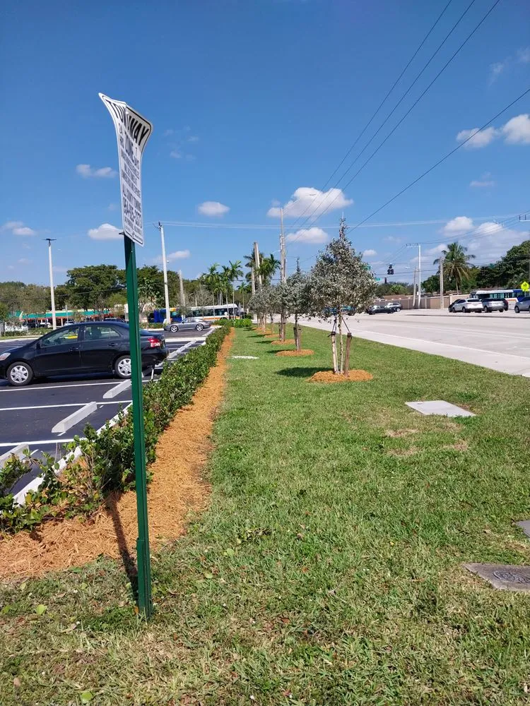 Reliable landscape design in Miami, FL by Buena vista landscapes