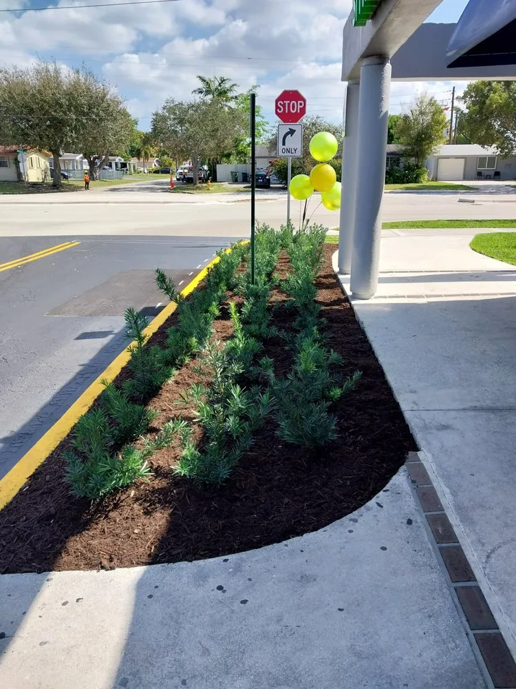 Local landscape installation near you in Miami, FL by Buena vista landscapes