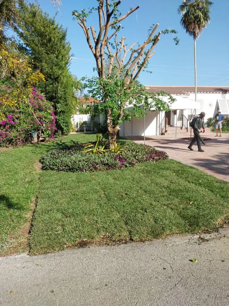 Reliable lawn care service for beautiful yards in Miami, FL by Buena vista landscapes