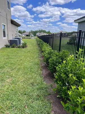 Buena vista landscapes Logo