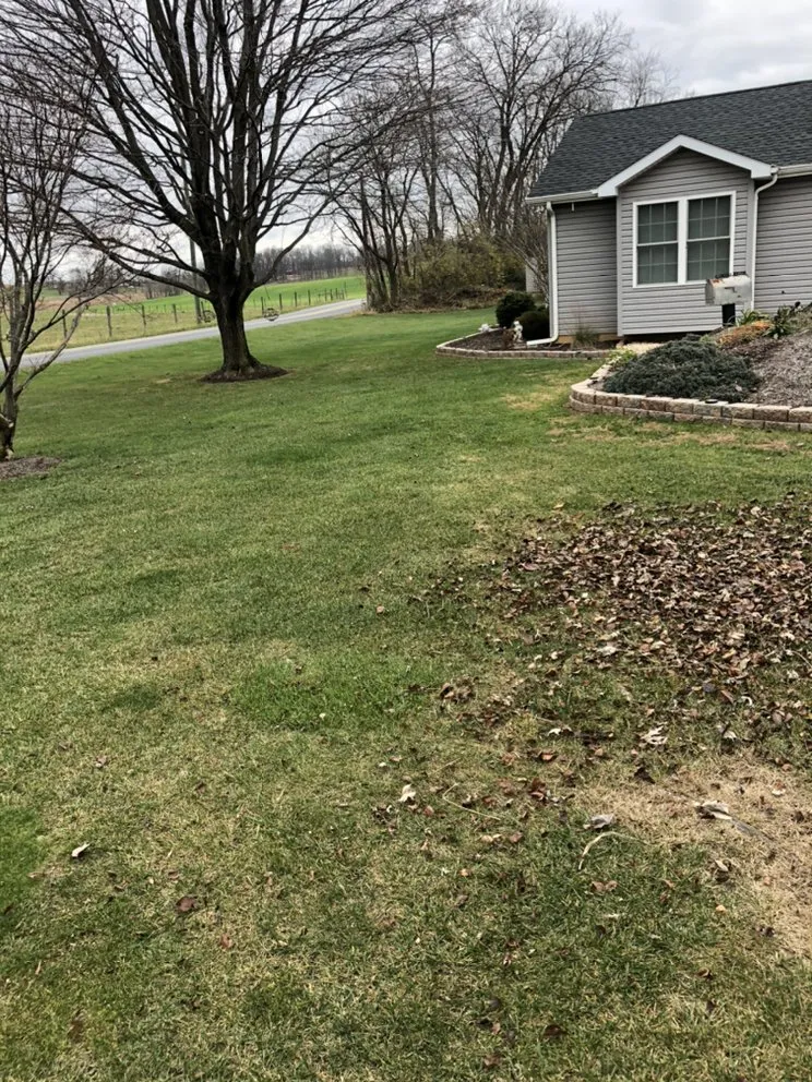 Professional residential landscaping experts serving Gerrardstown, WV - Buena Vista Landscaping