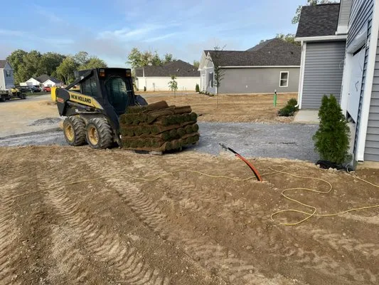 Buena Vista Landscaping Logo