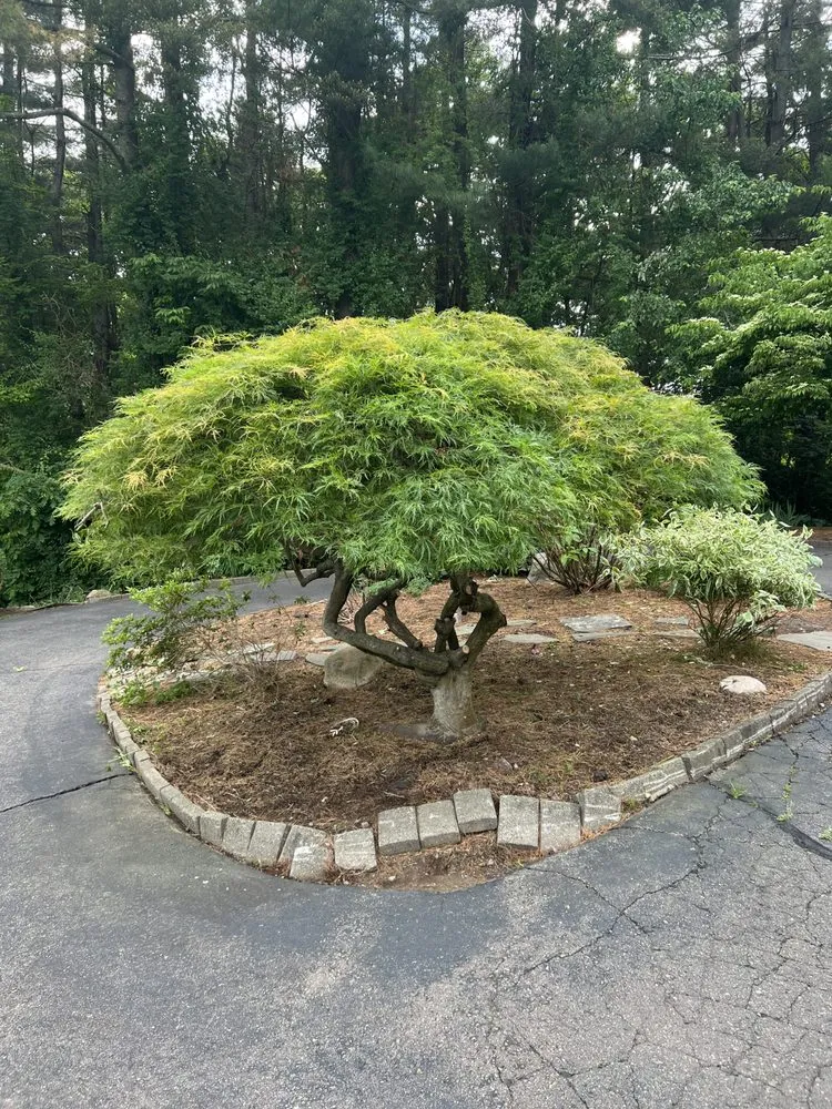 Professional landscape design for outdoor upgrades across Hartford, CT - Buena vista Landscaping