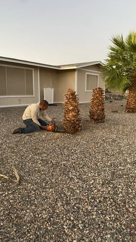 Trusted landscaping services for homes in Lake Havasu City, AZ by Buena Vista Landscaping