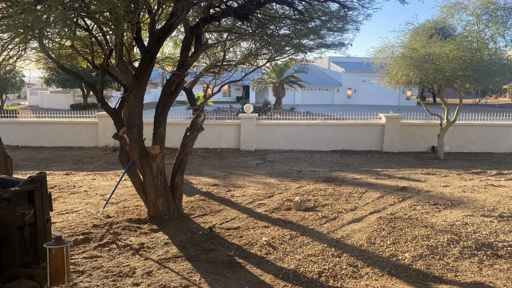 Expert landscape installation in Lake Havasu City, AZ - Buena Vista Landscaping