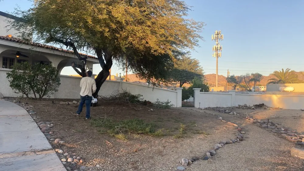 Local landscaping services in Lake Havasu City, AZ - Buena Vista Landscaping