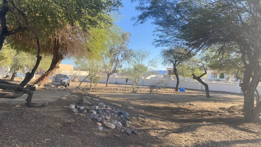 Custom landscaping services for residential properties across Lake Havasu City, AZ - Buena Vista Landscaping