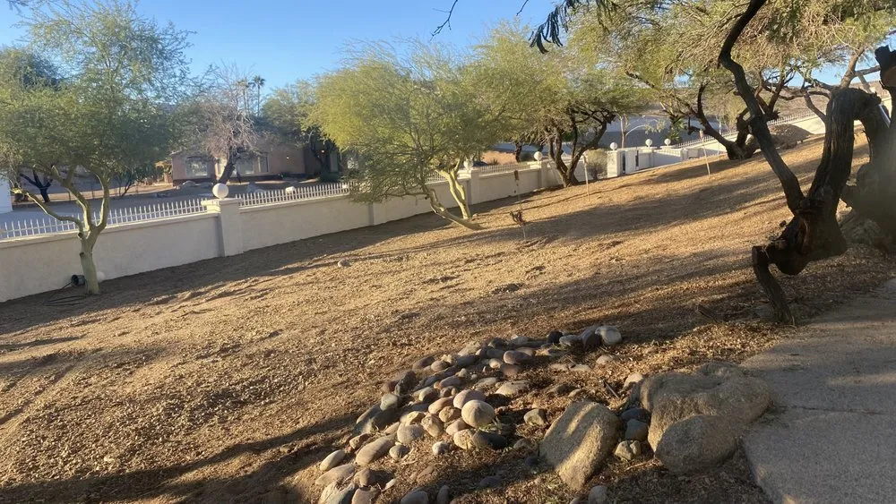 Trusted landscape design experts serving Lake Havasu City, AZ - Buena Vista Landscaping