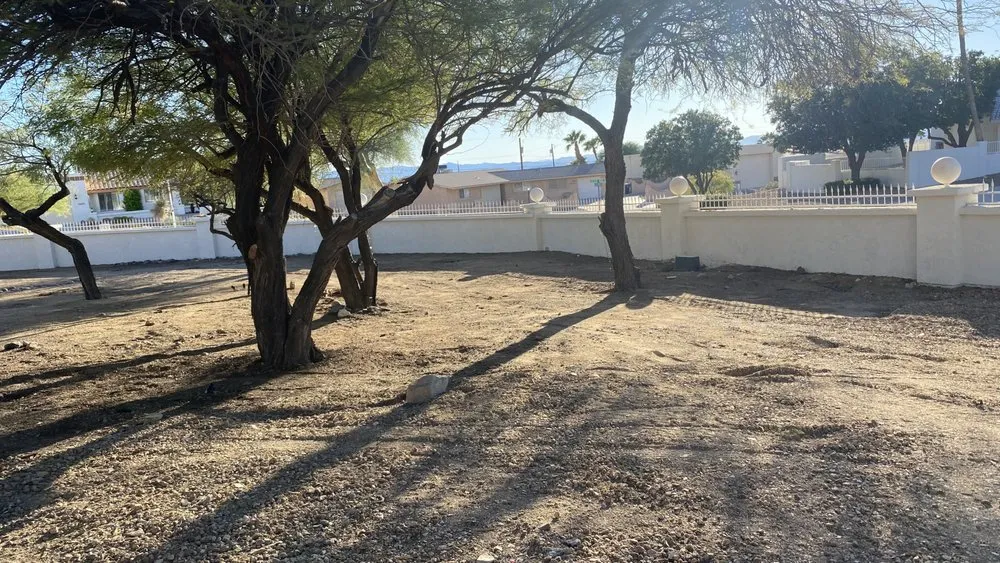 Expert lawn care service in Lake Havasu City, AZ - Buena Vista Landscaping