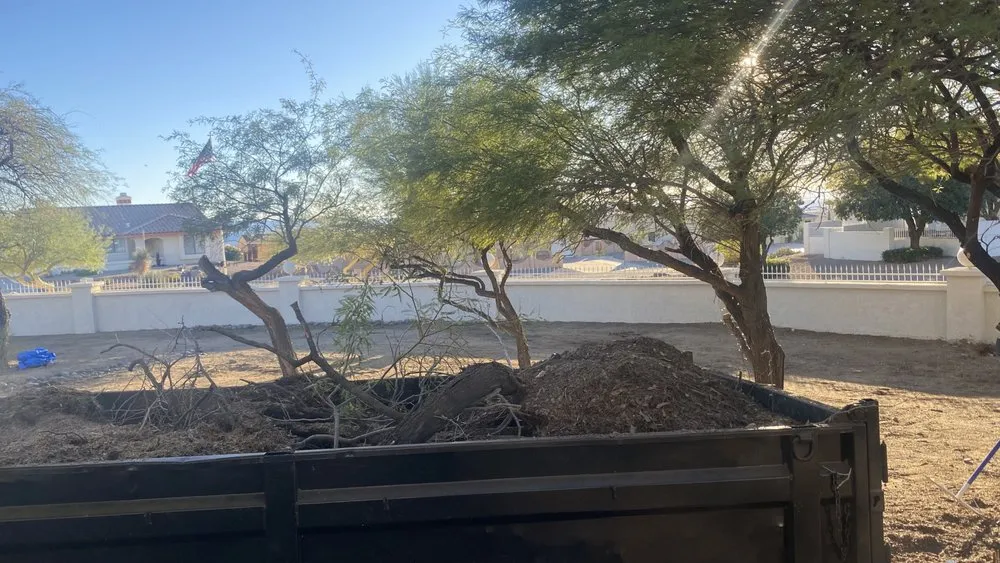 Affordable lawn care service experts serving Lake Havasu City, AZ - Buena Vista Landscaping